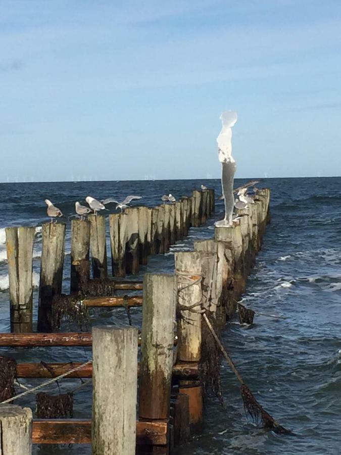 Haus Selma Apartment Zingst Bagian luar foto